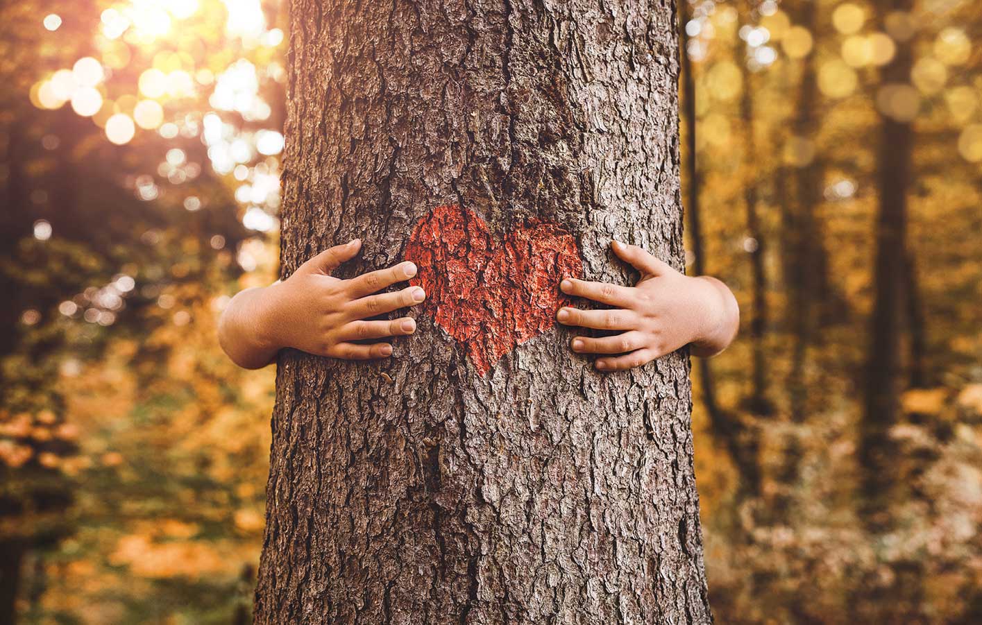 ein Mensch umarmt einen Baum, auf der Rinde ist ein rotes Herz gemalt